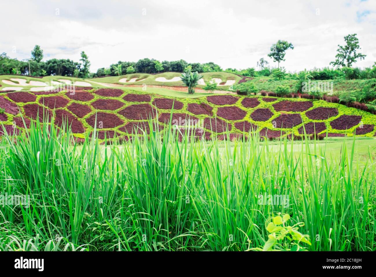 Grass with park hi-res stock photography and images - Alamy - Is Eating Grass At The Park Bad