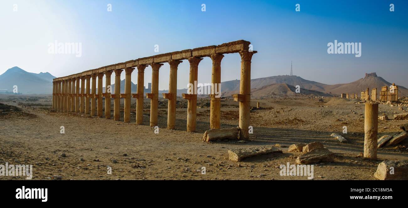 Panorama of Palmyra columns and ancient city, Syria Stock Photo