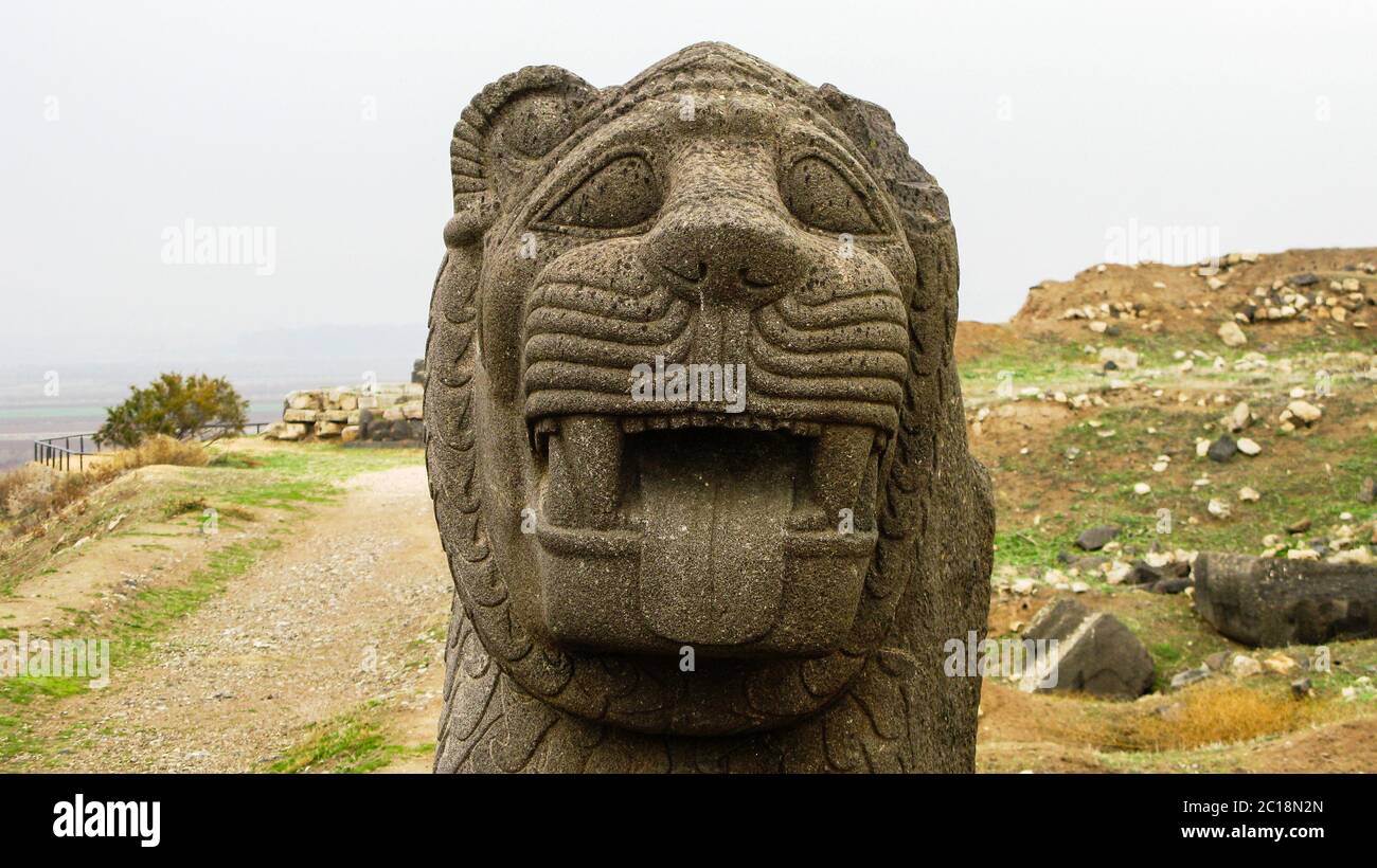 Head of the basalt lion, Ain Dara temple Aleppo, Syria Stock Photo