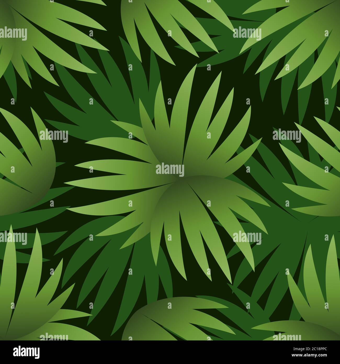 Palm leaves seamless pattern hi-res stock photography and images - Alamy