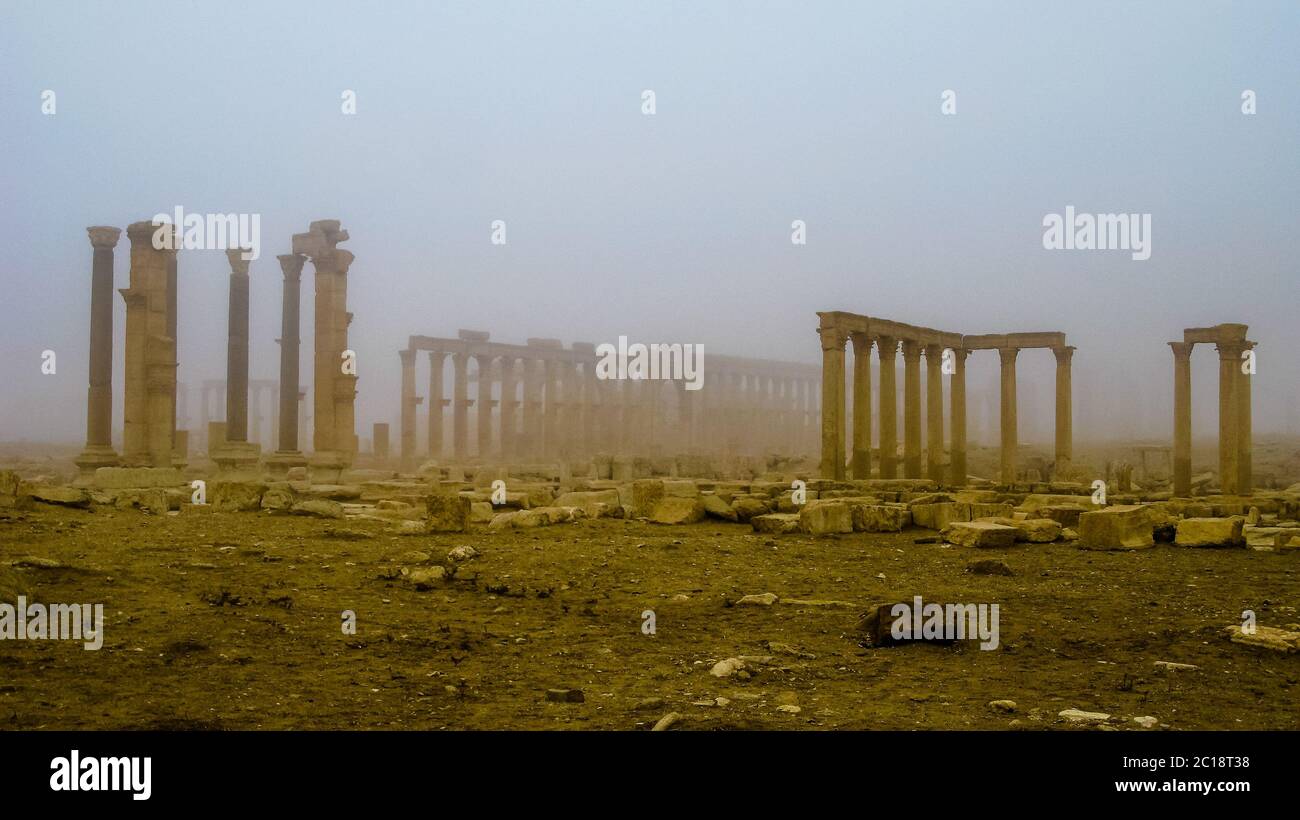 Palmyra columns in fog Syria Stock Photo