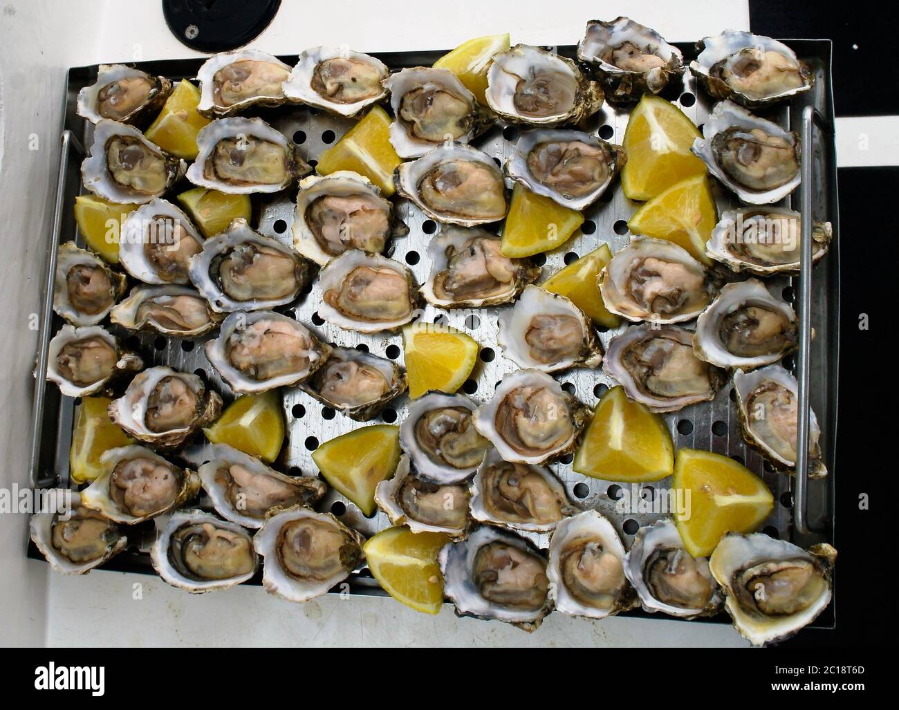Fresh opened oysters at the boat in Walvis bay, Namibia Stock Photo Alamy