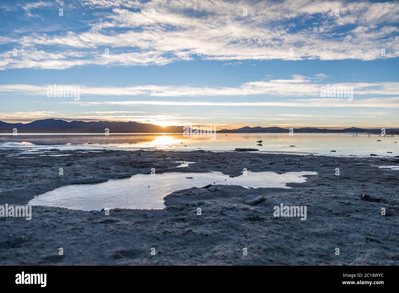 nice landscape in a frozen lake with a blue sky and the sun rising in the horizon Stock Photo