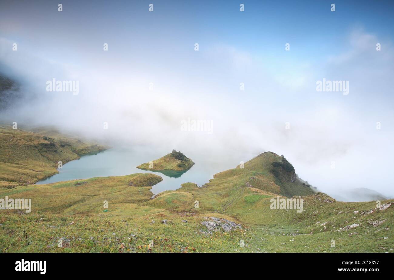 Low alpine hi-res stock photography and images - Alamy