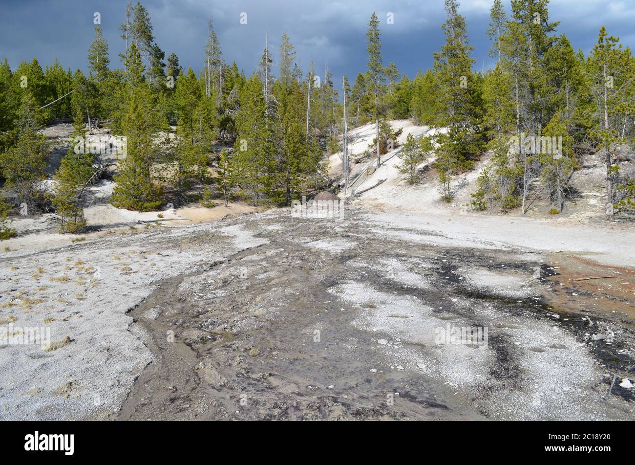 Spring in Yellowstone National Park: Dormant Mushroom Geyser and Drainage from Unseen Emerald Geyser in the Back Basin Area of Norris Geyser Basin Stock Photo
