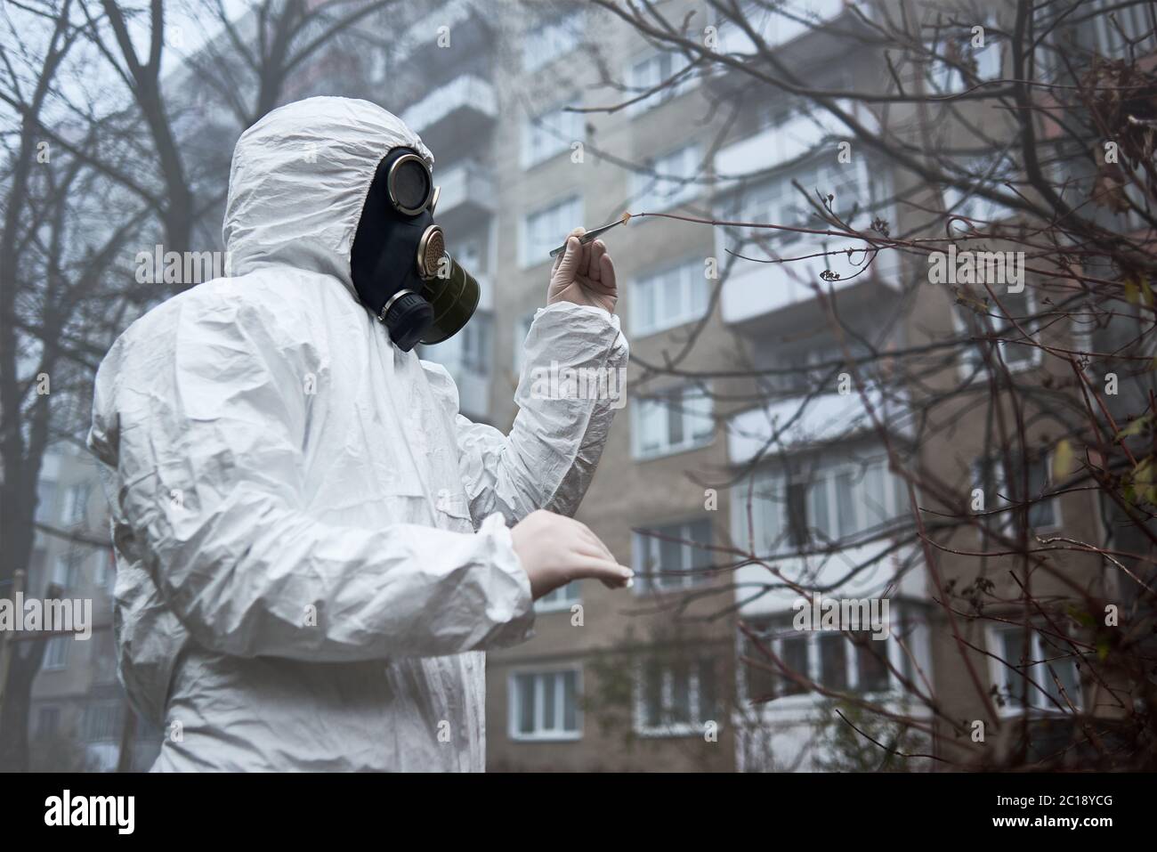 Man in gas mask and protective clothing monitoring city environment. Scientist checking tree leaves, taking piece using tweezers for analysis. Environmental disaster, smoky empty atmosphere in yard. Stock Photo