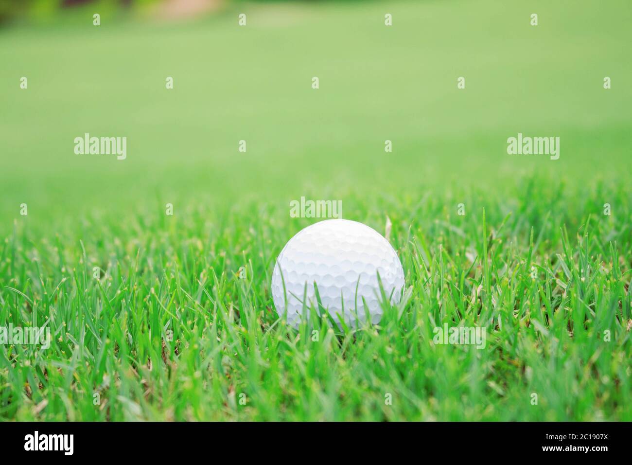 Golf ball on green grass Stock Photo Alamy
