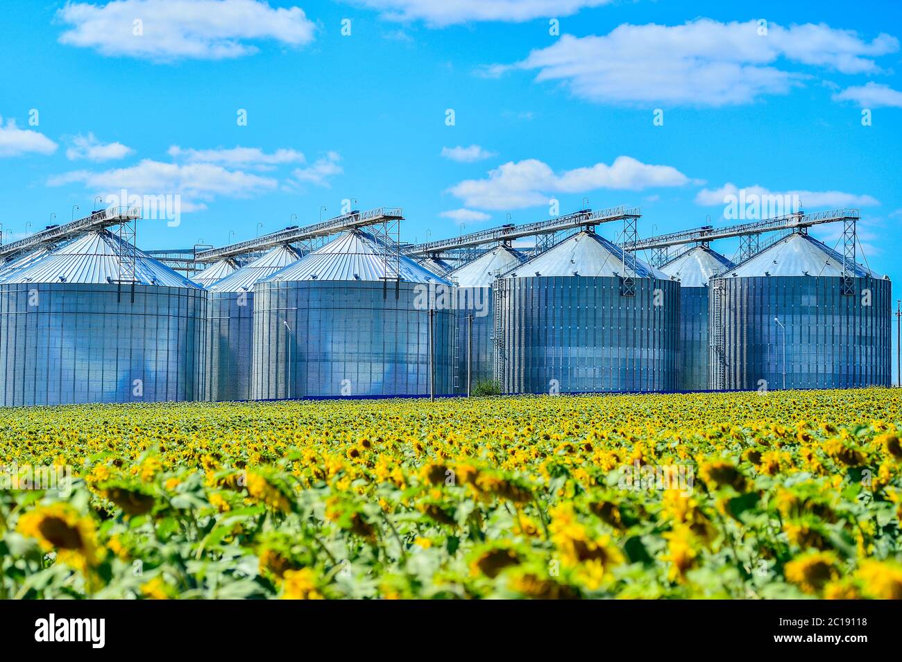 Sunflower oil production plant and sunflower field Stock Photo Alamy