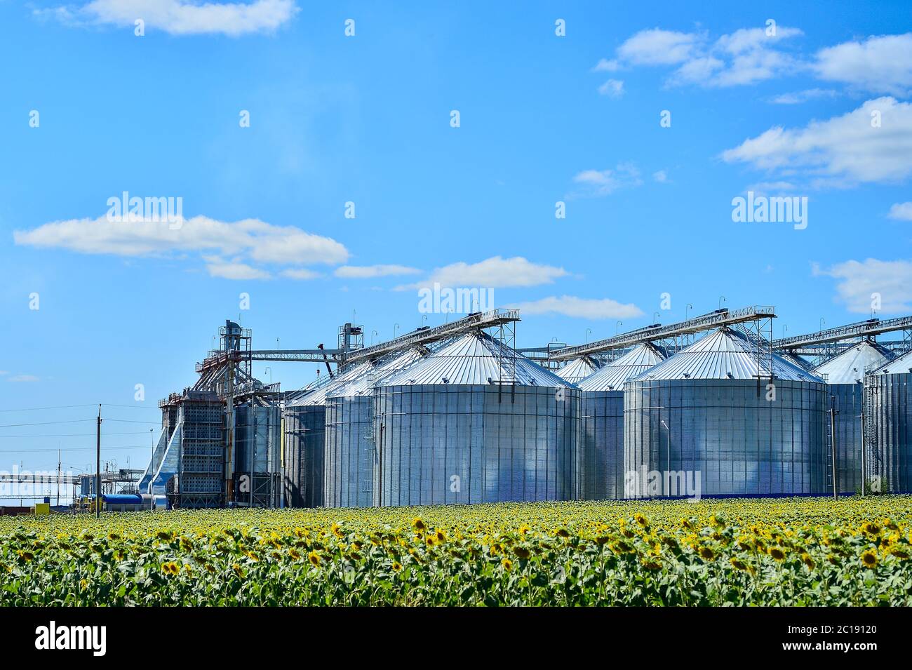 Sunflower oil production plant and sunflower field Stock Photo Alamy