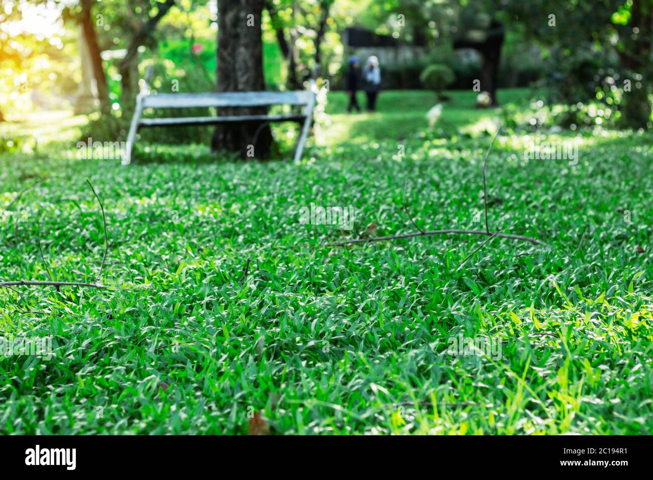 Green grass in the park Stock Photo - Alamy - Is Eating Grass At The Park Bad