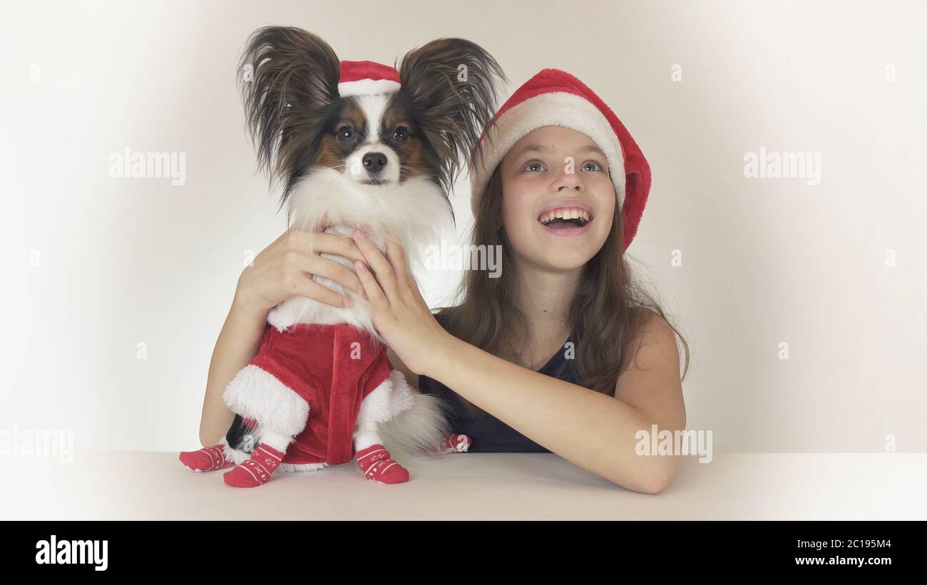 Beautiful teen girl and dog Continental Toy Spaniel Papillon in Santa Claus  costumes joyfully looking around and laughing on whi Stock Photo - Alamy