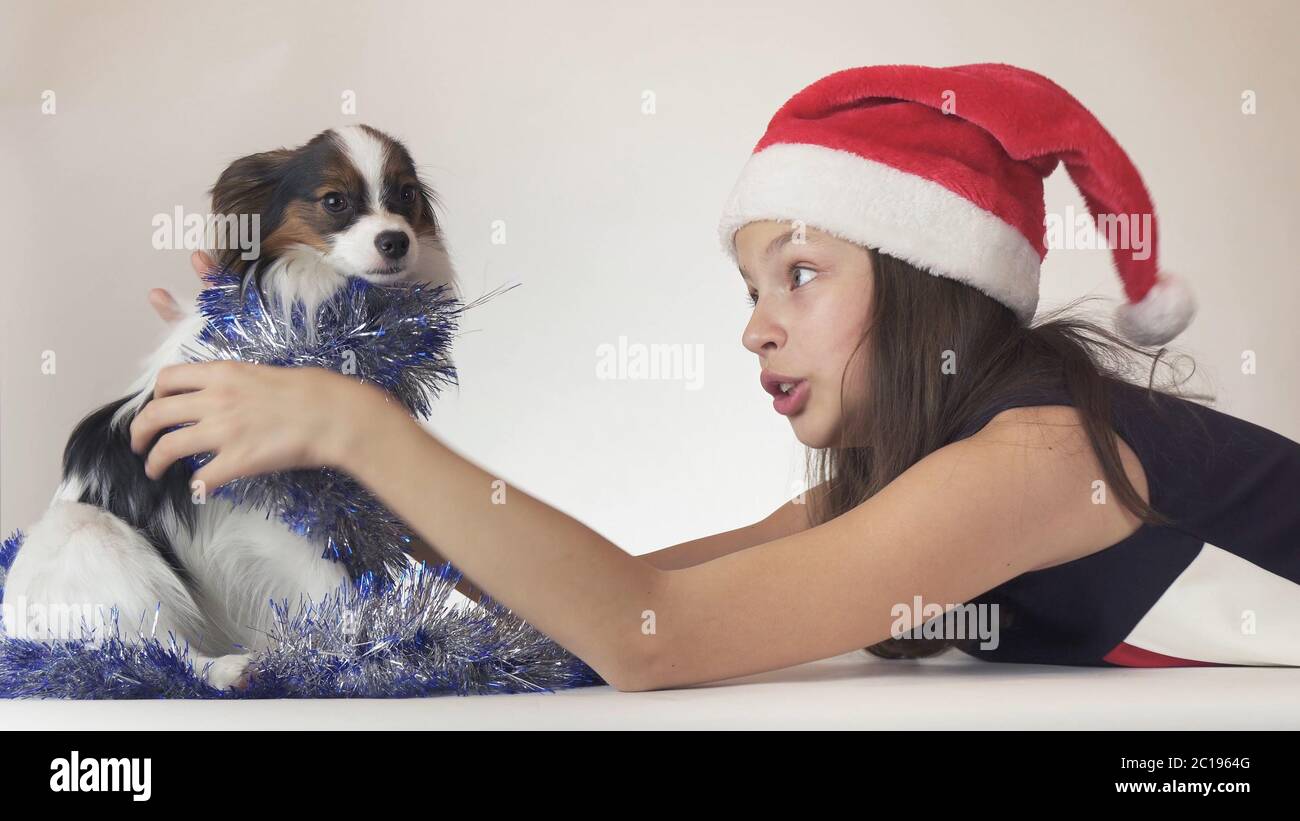 Beautiful teen girl in Santa Claus hat and dog Continental Toy Spaniel  Papillon in New Year's tinsel joyfully playing on white b Stock Photo -  Alamy