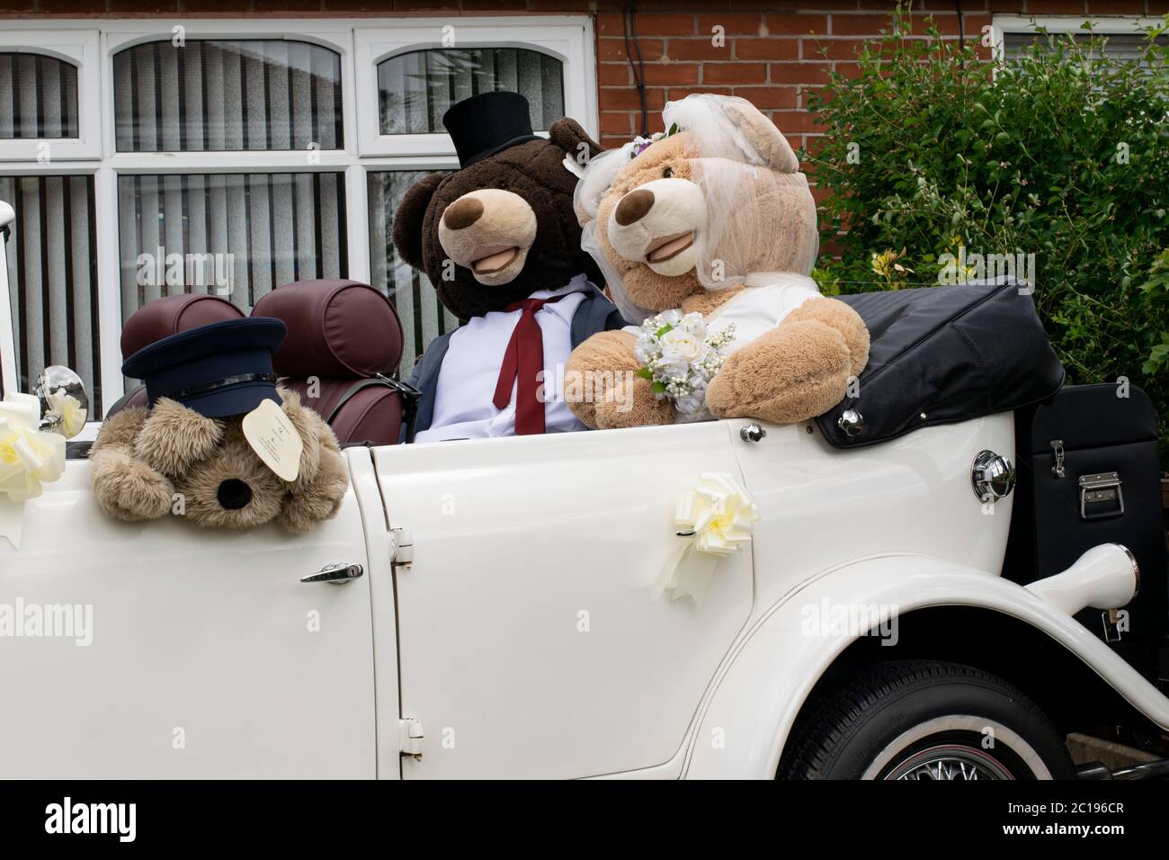 Teddy bear display. Wedding car scene in white Beauford for children's teddy bear hunt, Heaton Moor, Stockport UK during  coronavirus lock down day 58 Stock Photo