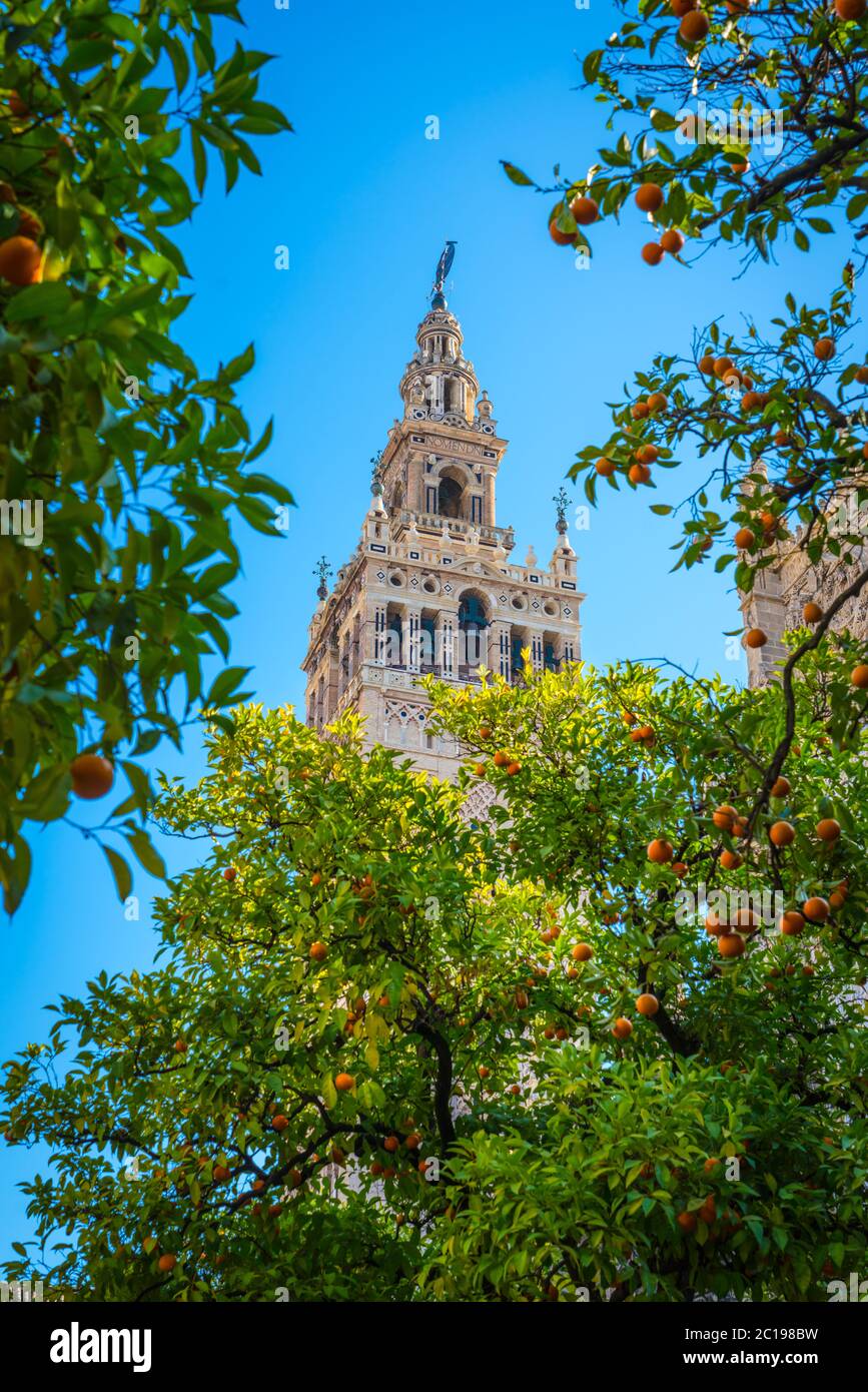 sevillian-baroque-architecture-hi-res-stock-photography-and-images-alamy