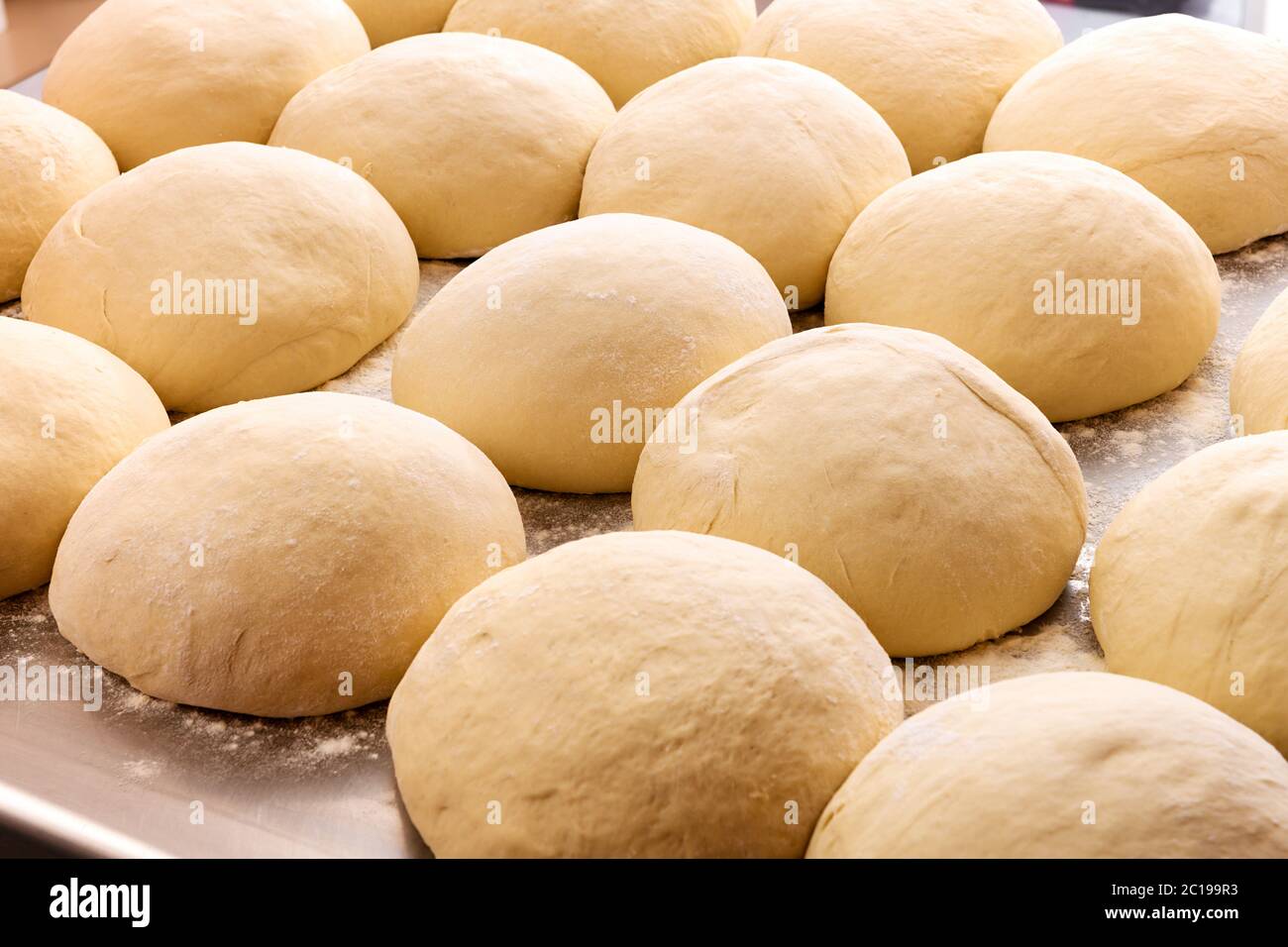 Individual portions of pizza dough on a tray ready for preparing traditional Italian cuisine in a pizzeria or restaurant Stock Photo