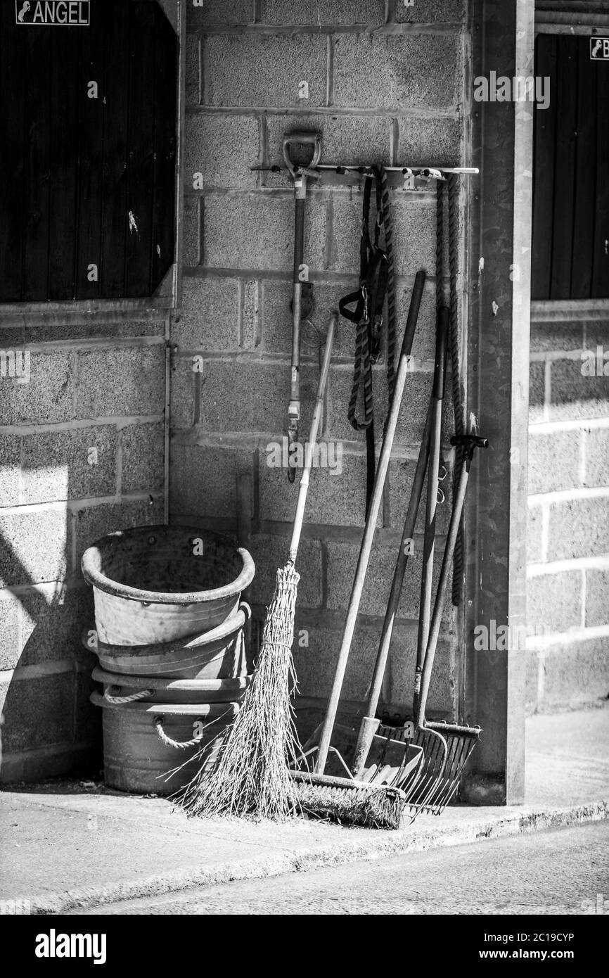 Stables. Some of the essential equipment for mucking out. Stock Photo