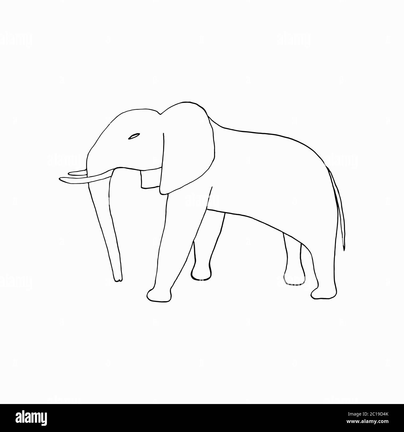 hand-drawing elephant on white background Stock Vector Image & Art - Alamy