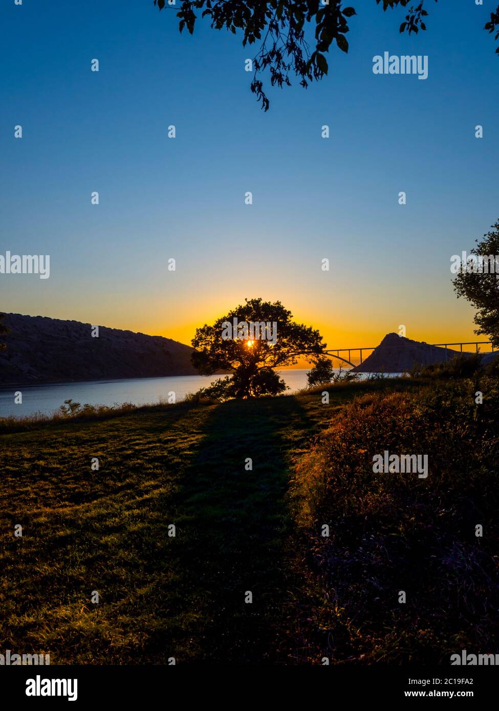 Sunset landscape bridge mainland to island Krk Croatia see through dominant tree Stock Photo
