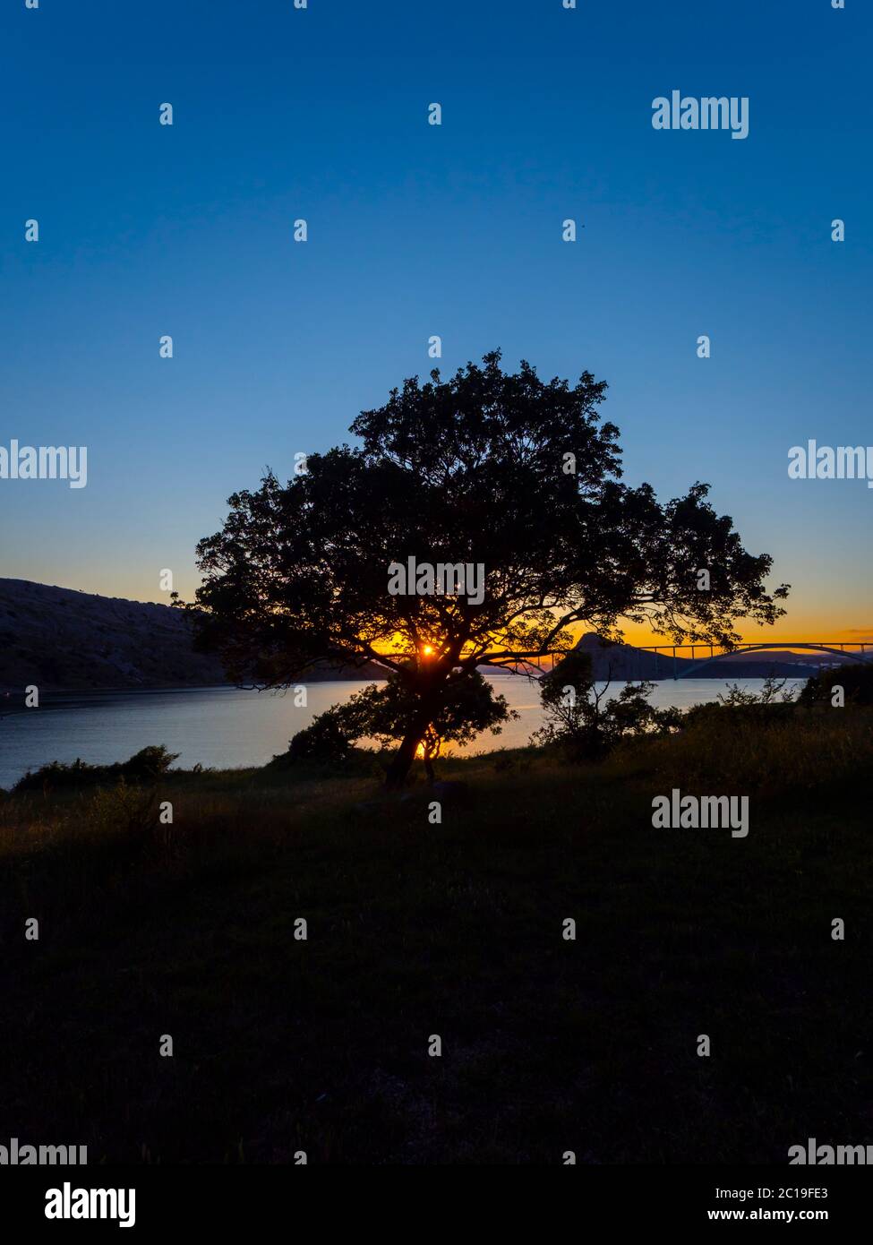 Sunset landscape bridge mainland to island Krk Croatia see view through dominant tree Stock Photo