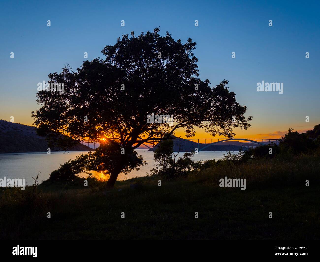 Sunset landscape bridge mainland to island Krk Croatia see through dominant tree Stock Photo