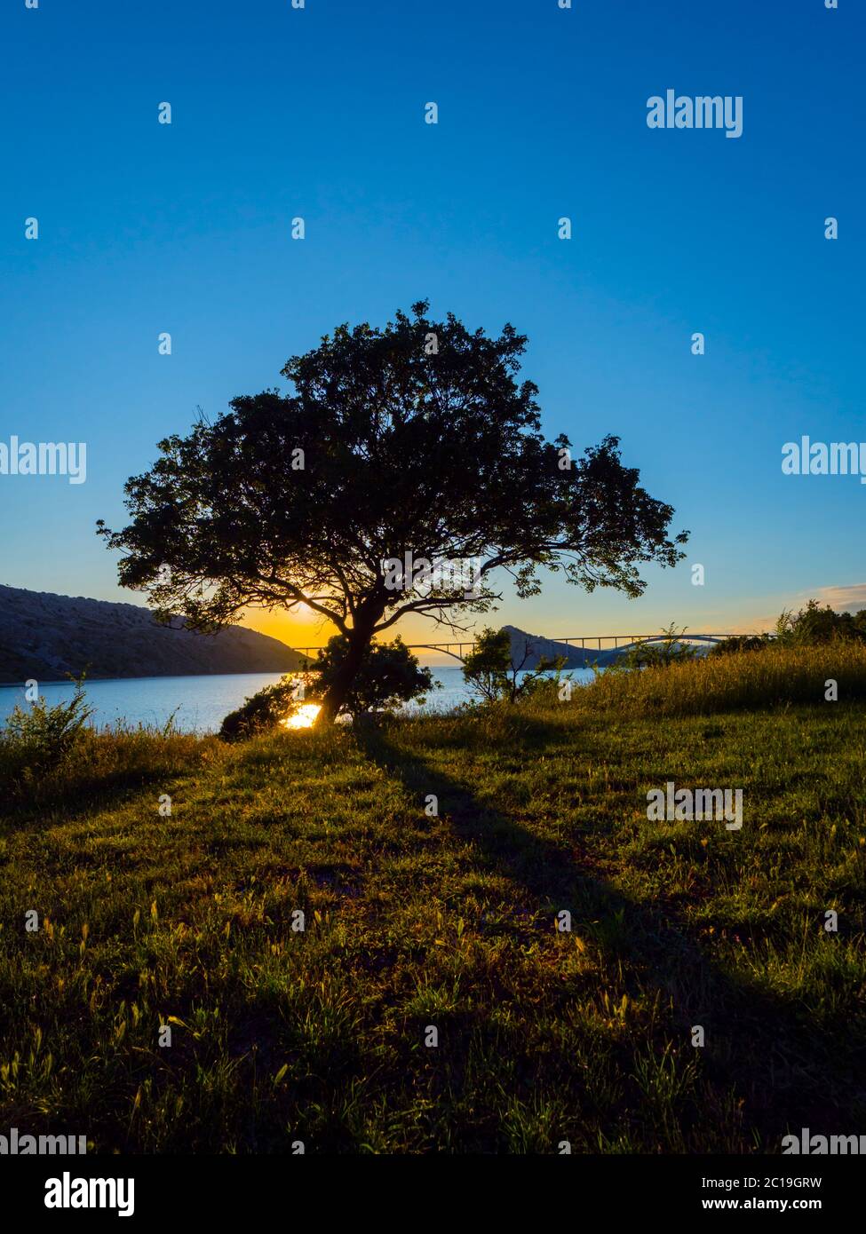 Sunset landscape bridge mainland to island Krk Croatia see view through dominant tree Stock Photo