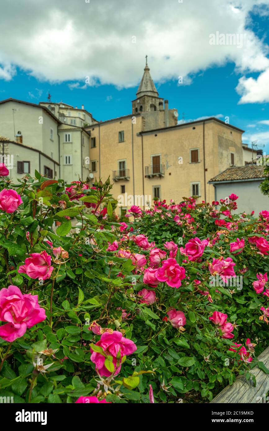 behind the rose garden the houses of the Montenero Valcocchiara village. Molise region, Italy, Europe Molise Stock Photo