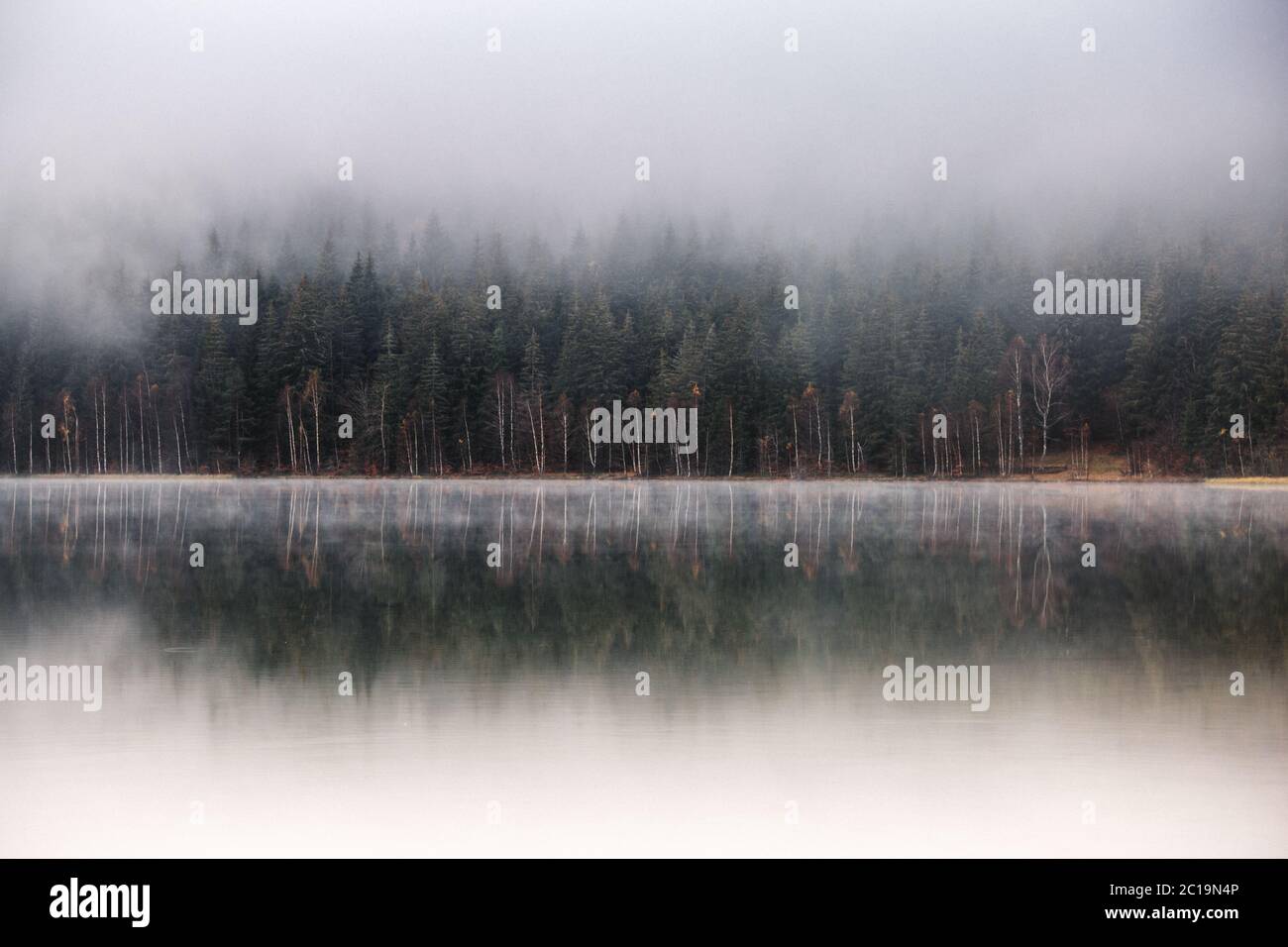 Foggy morning. forest lake reflections Stock Photo - Alamy