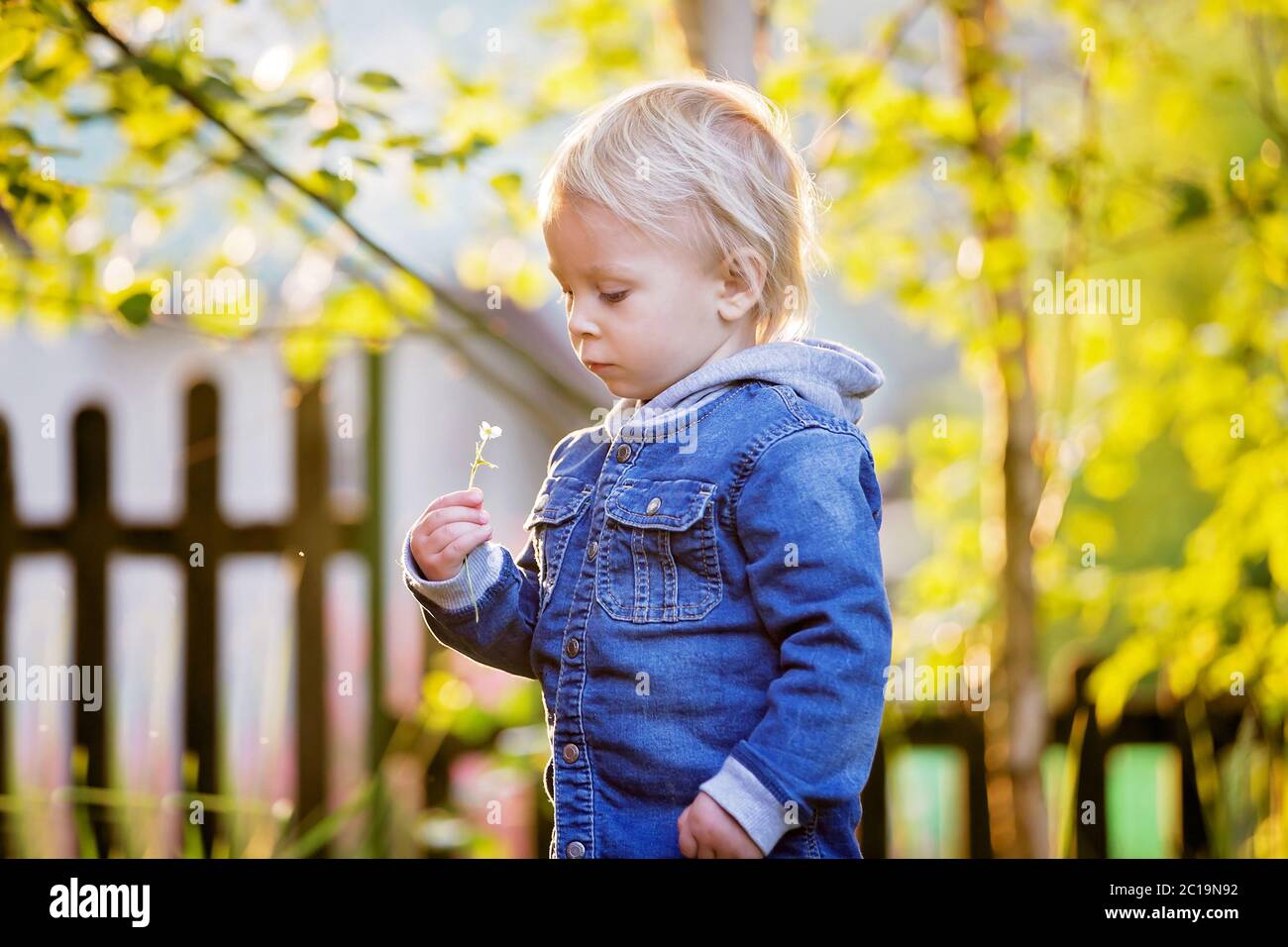 Claire and Charlie Boys Light Blue Knit Shirt - Garden Puppies