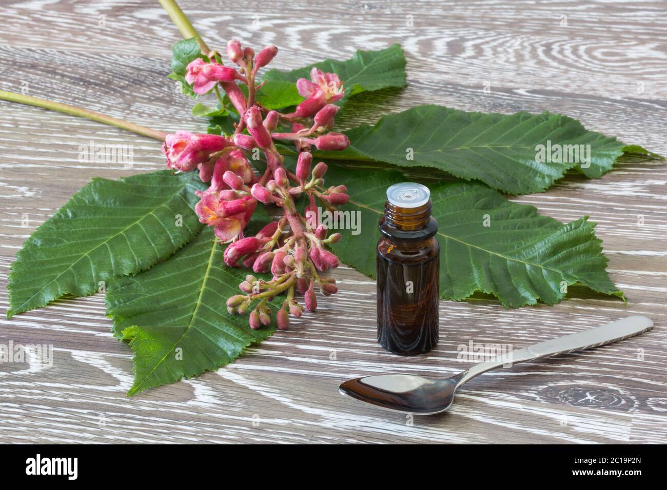 red chestnut bach flower remedies Stock Photo