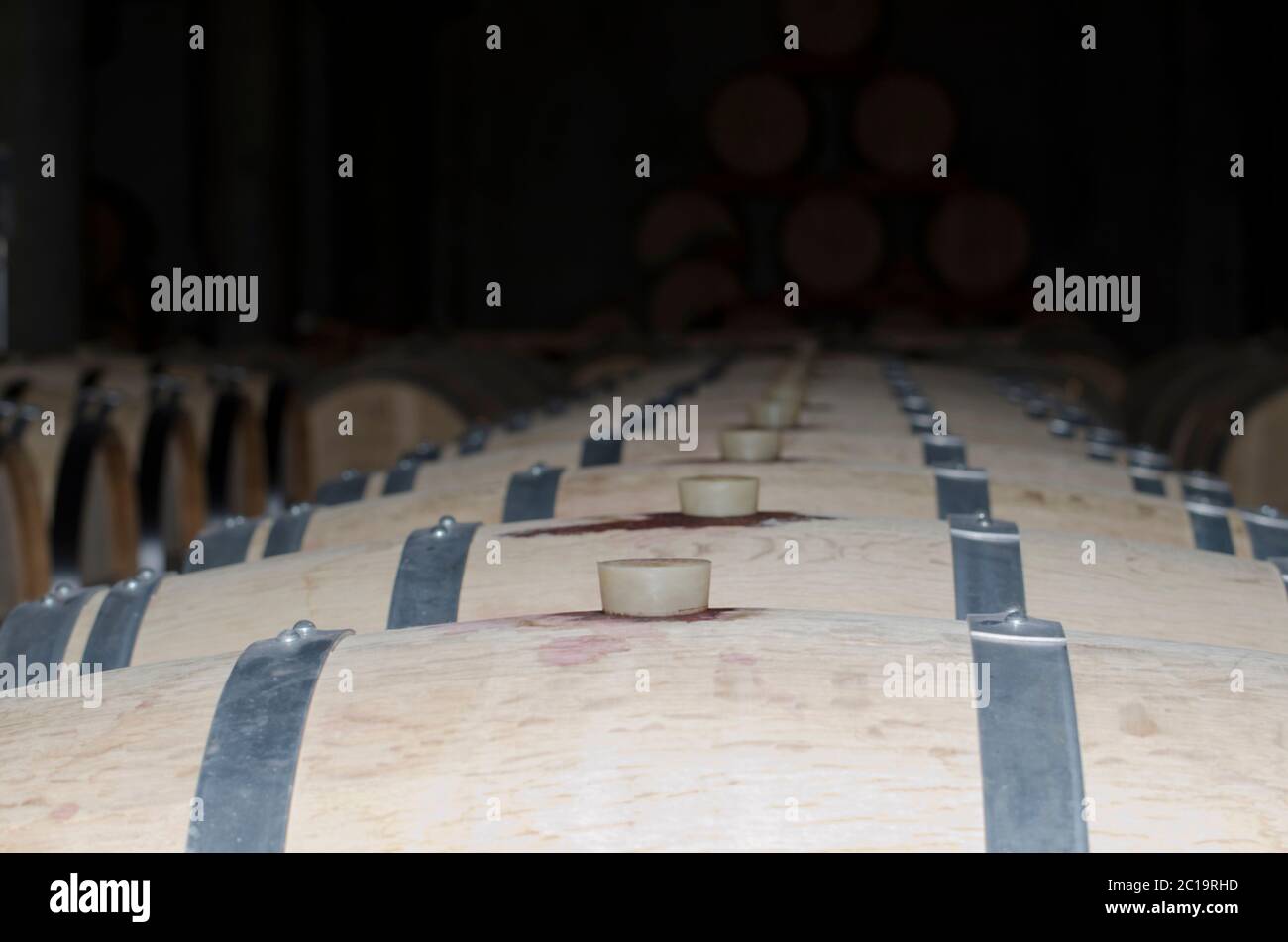 Wine Barrels in a Row Stock Photo - Alamy