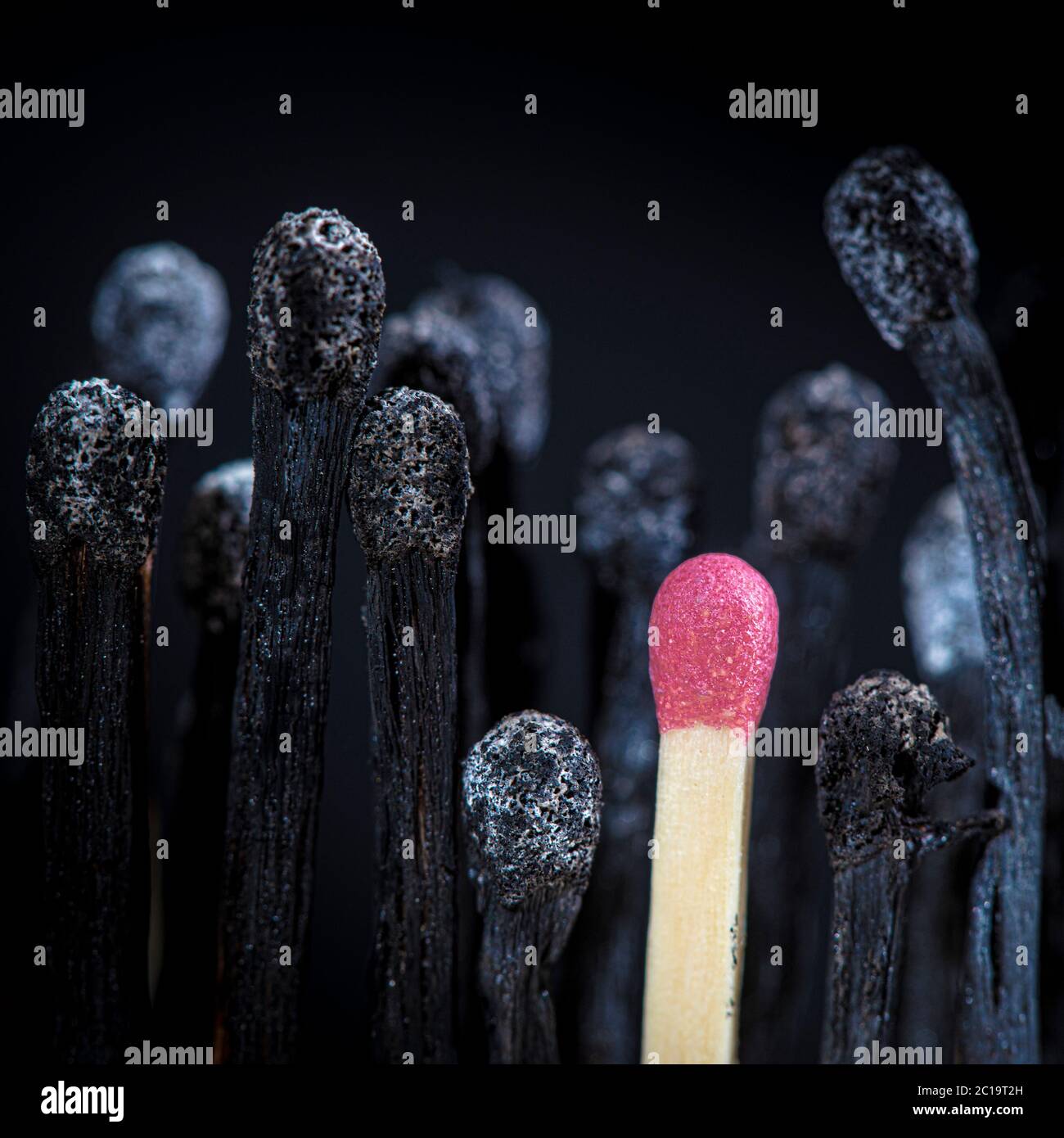 Burnt matches and match still intact. concept of danger and individuality, diversity. Stock Photo