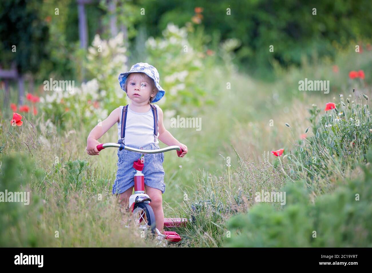 Kid bicycle flowers hi res stock photography and images Alamy