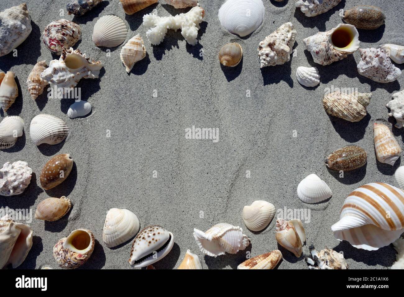seashells on sand with a space for a message Stock Photo