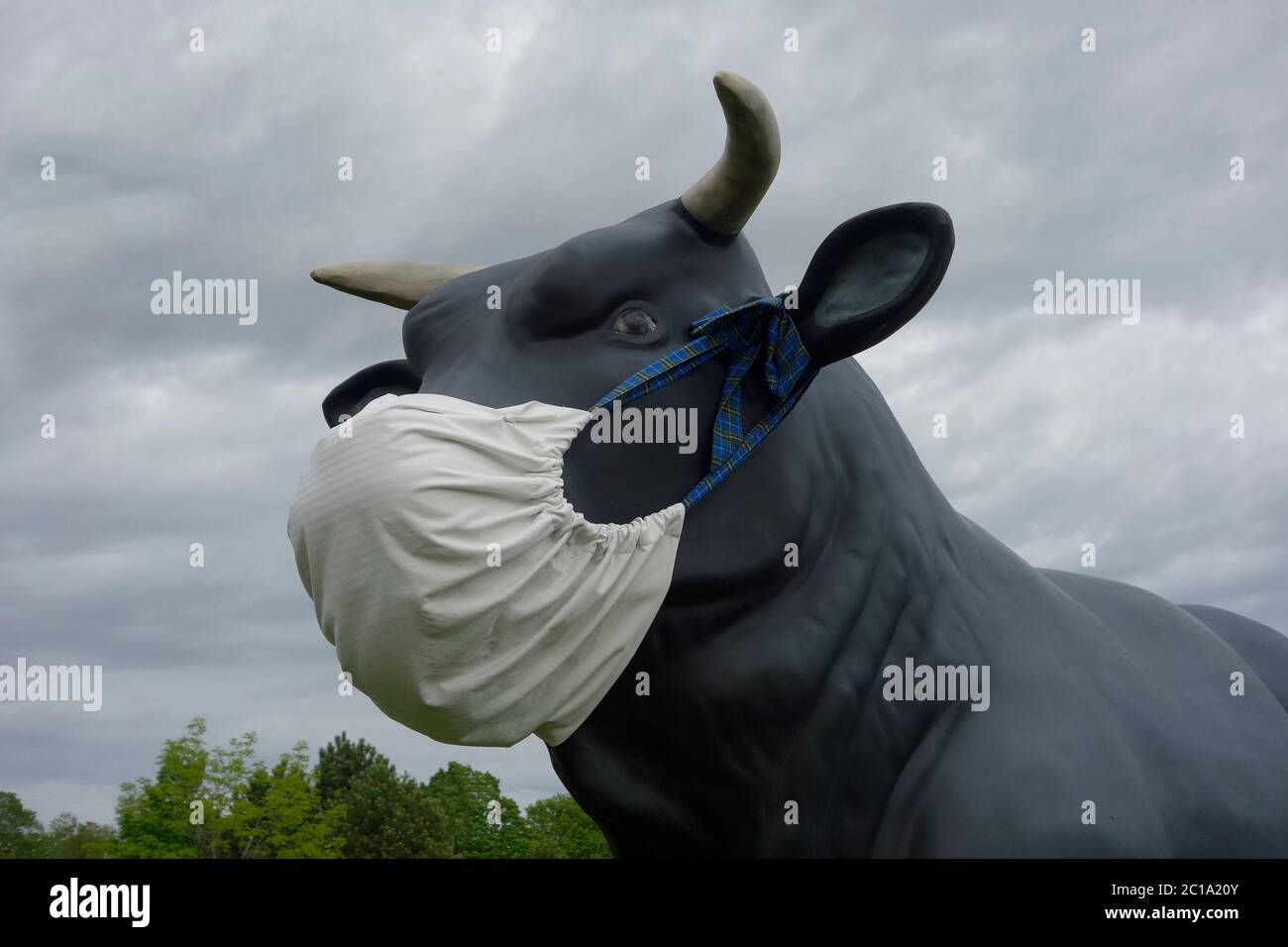 Download Bull Mask High Resolution Stock Photography And Images Alamy PSD Mockup Templates