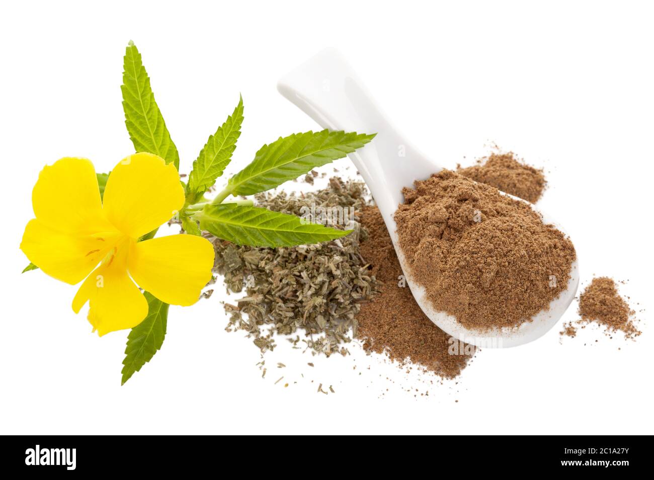 Damiana flower and damiana dried leaves and powder Stock Photo