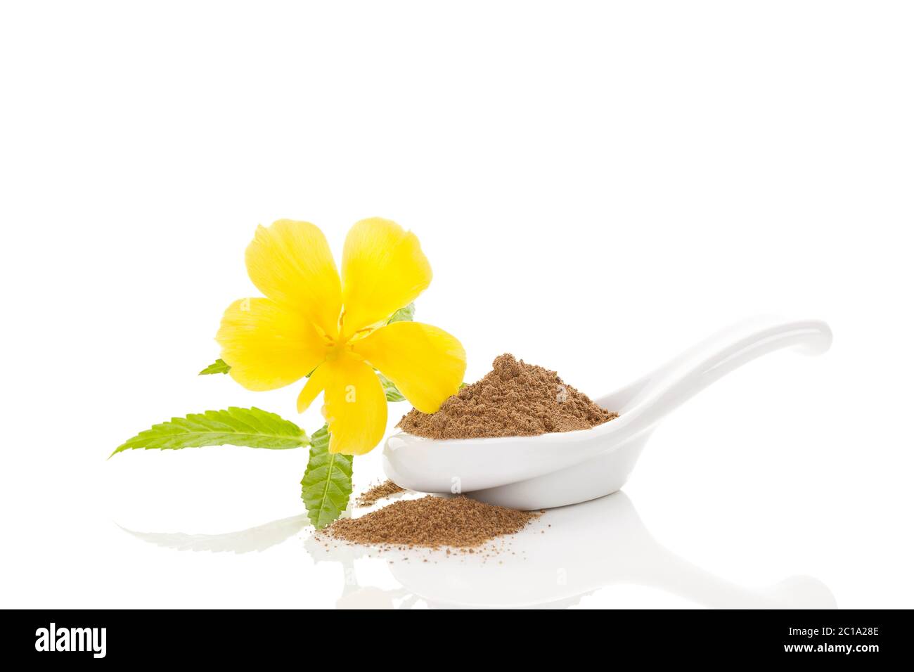 Damiana herb powder in spoon. Stock Photo