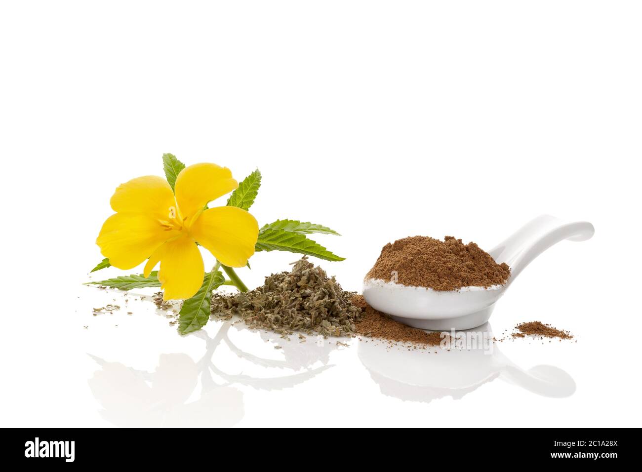 Damiana flower with dried levaes and powder. Stock Photo