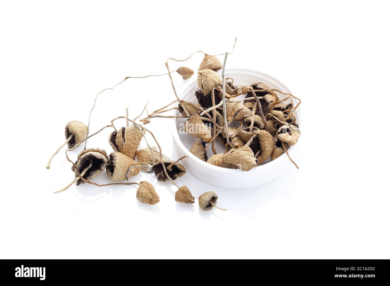 Dried psilocybin mushrooms. Stock Photo