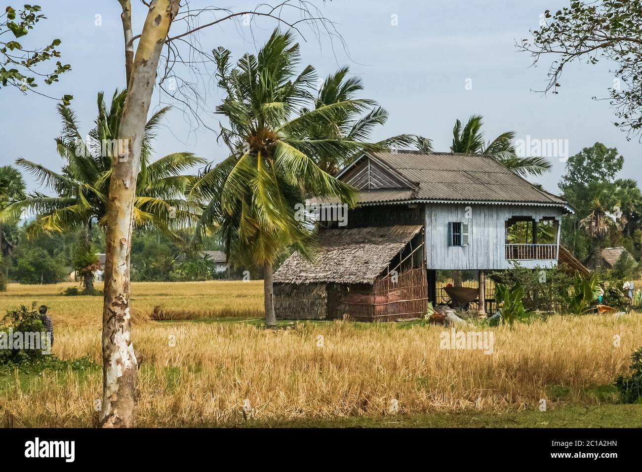 Village house in cambodian countryside Stock Photo Alamy