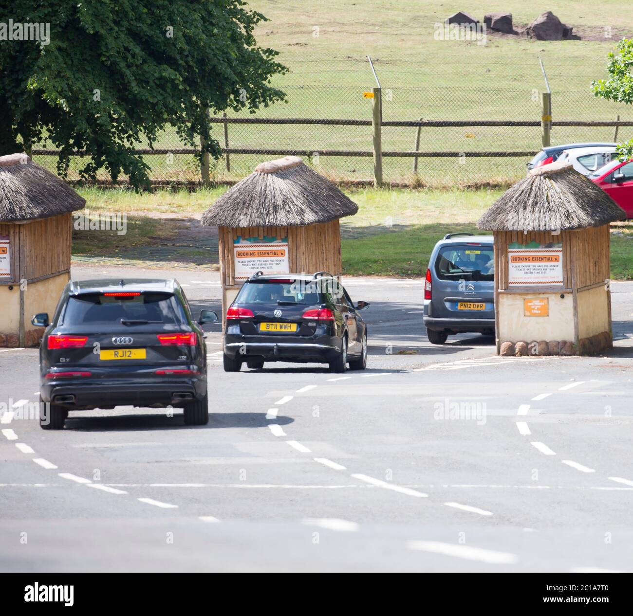 Bewdley, UK. 15th June, 2020. As coronavirus lockdown restrictions ease, West Midland Safari Park welcomes visitors back. Having pre-booked their timed tickets, the cars arrive steadily at regular intervals - animal lovers desperate to enjoy the drive-through safari experience with safe, well-managed social distancing. Credit: Lee Hudson/Alamy Live News Stock Photo