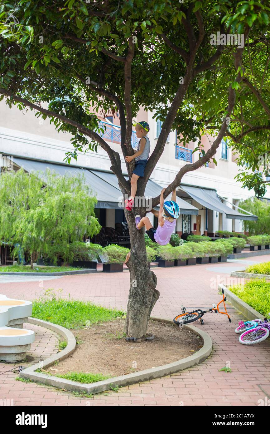 Two caucasian kids on tree, the boy is sitting on the branches while the girl is hanging on the tree branch. If not careful will be injured if fall. Stock Photo