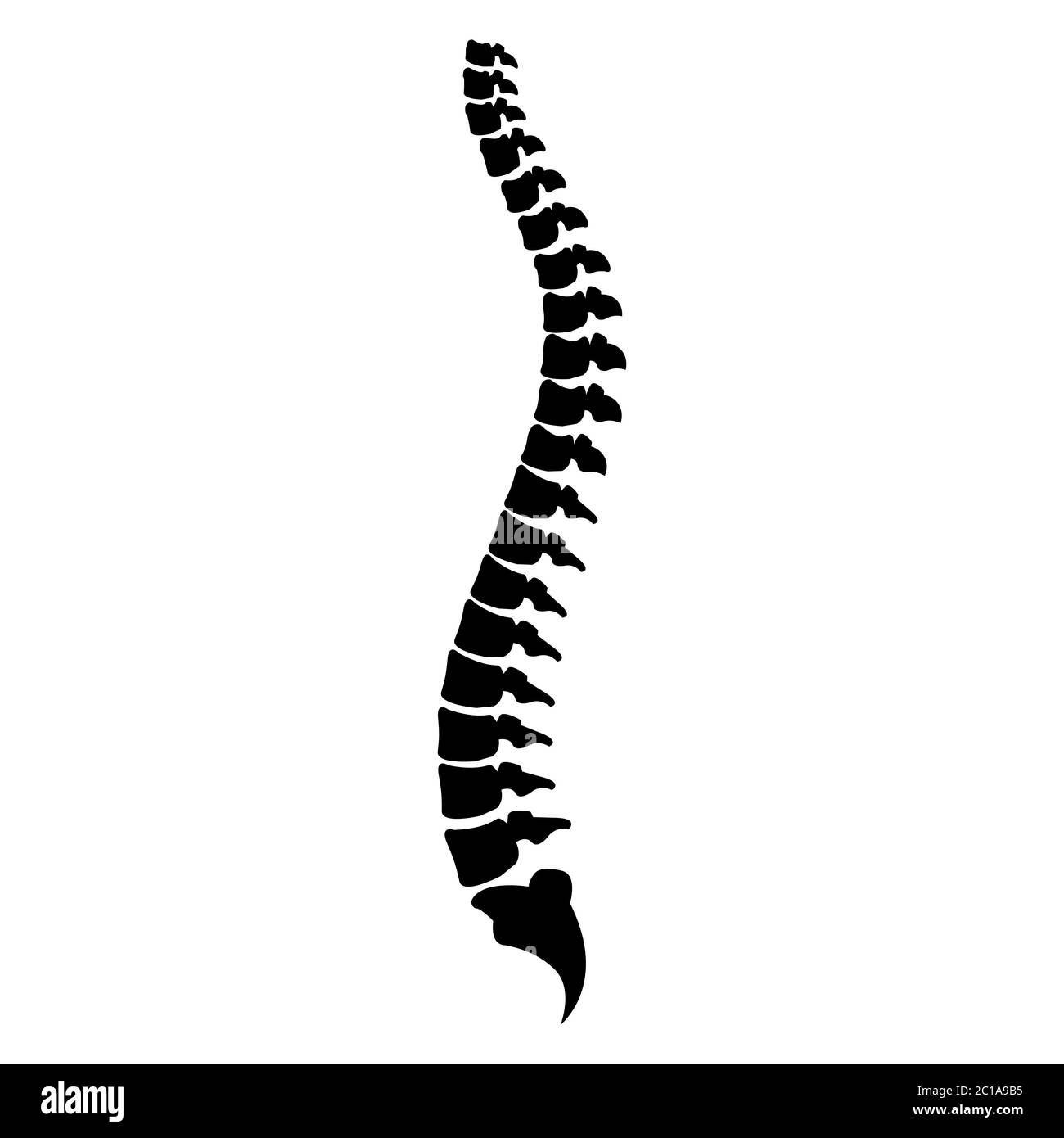 Spine cord vector icon illustration isolated on white background Stock Vector