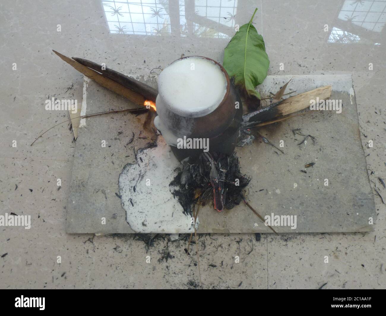 A traditional affair in Sri Lanka. Boiling milk in a clay pot on a fire lit with dry wood and