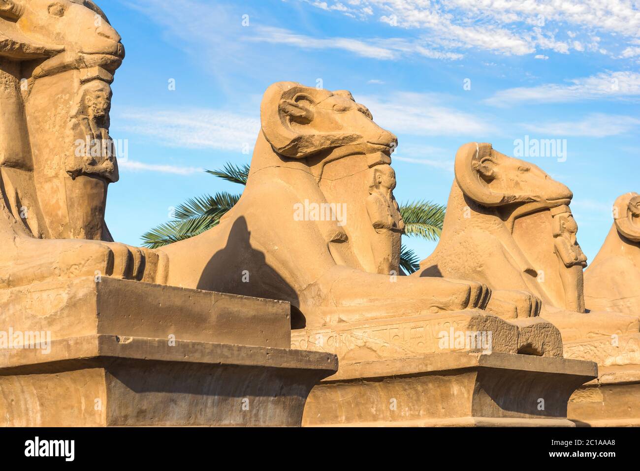 Sphinxes in Karnak Temple under morning clouds, Luxor Stock Photo