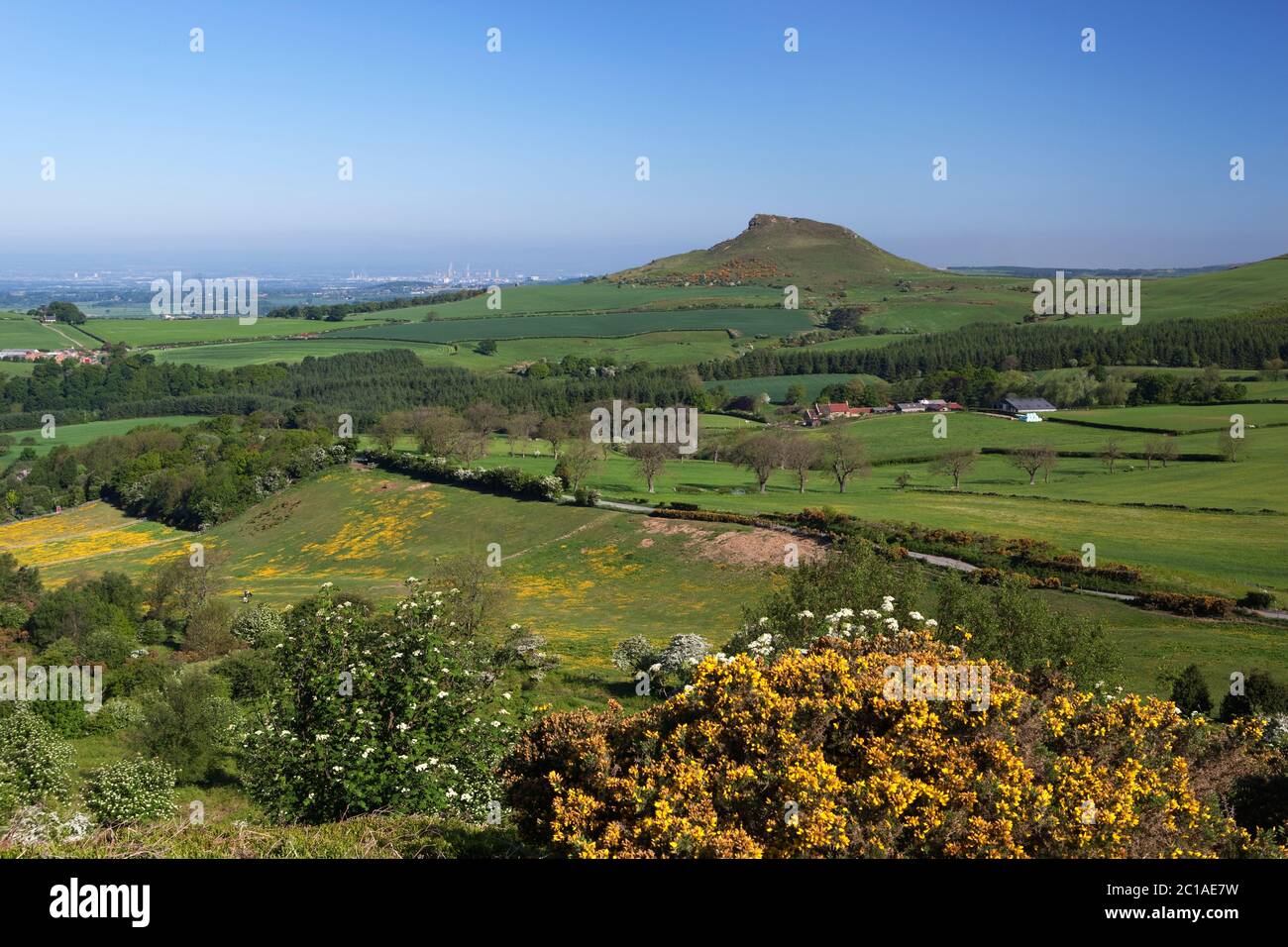 View over Roseberry Topping in the North Yorks National Park, Great Ayton, North Yorkshire, England, United Kingdom, Europe Stock Photo