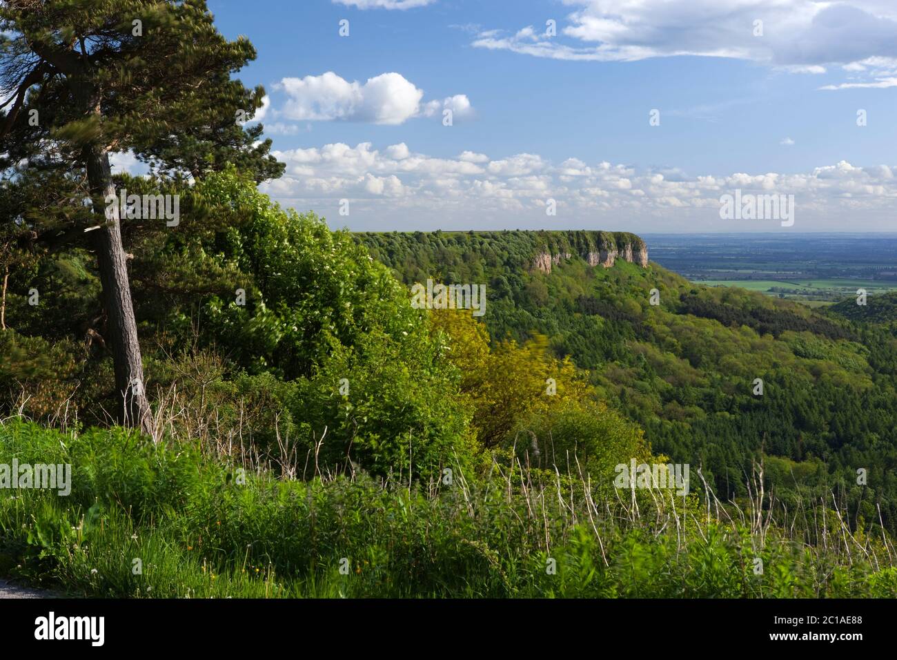 View of Sutton Bank in the North York Moors National Park, near Thirsk, North Yorkshire, England, United Kingdom, Europe Stock Photo