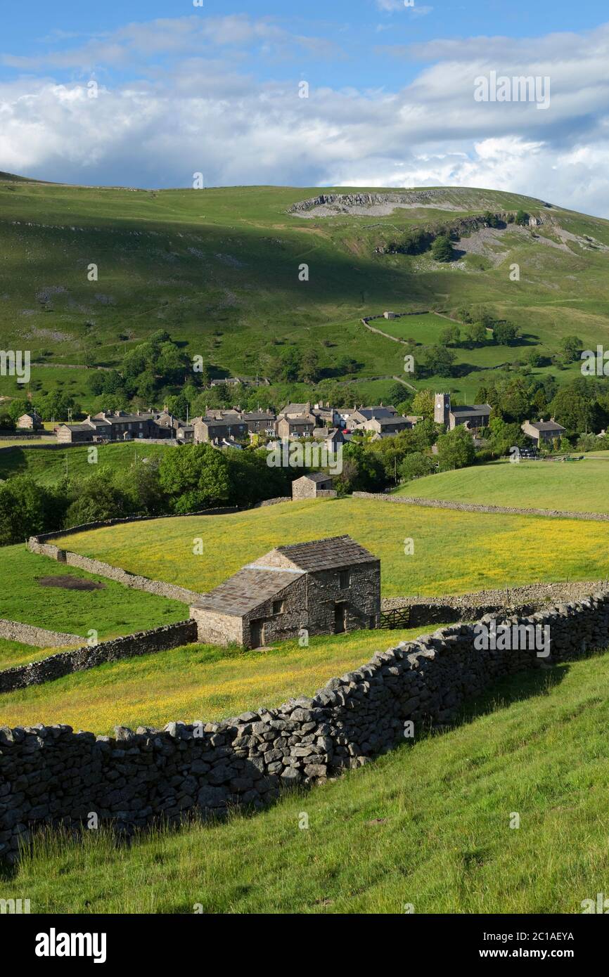 Buttercup filled fields to the village of Muker in the valley of Swaledale, Muker, Yorkshire Dales National Park, North Yorkshire, England, UK Stock Photo