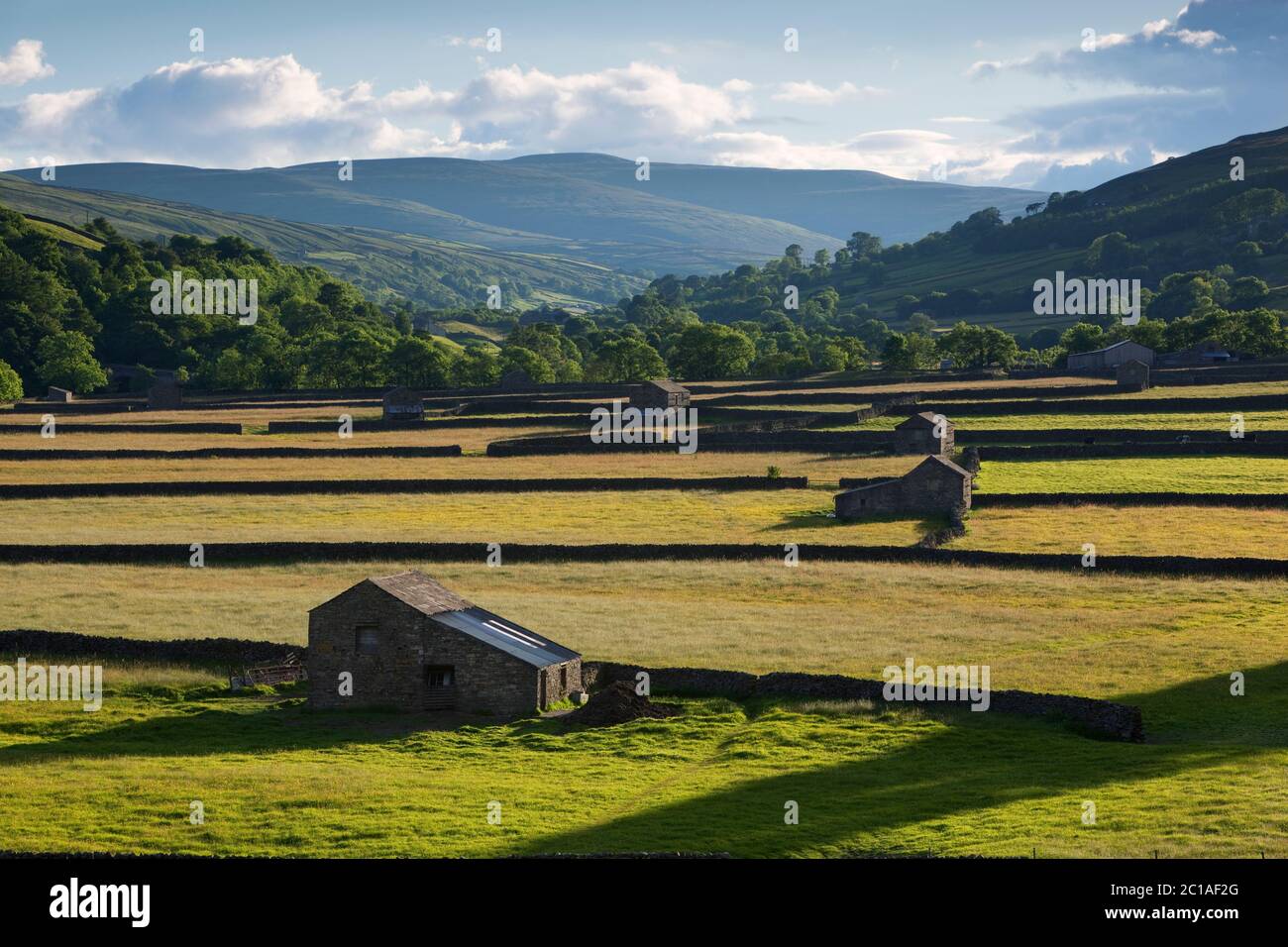 View along Gunnerside in the valley of Swaledale with traditional dry stone walls and barns Stock Photo