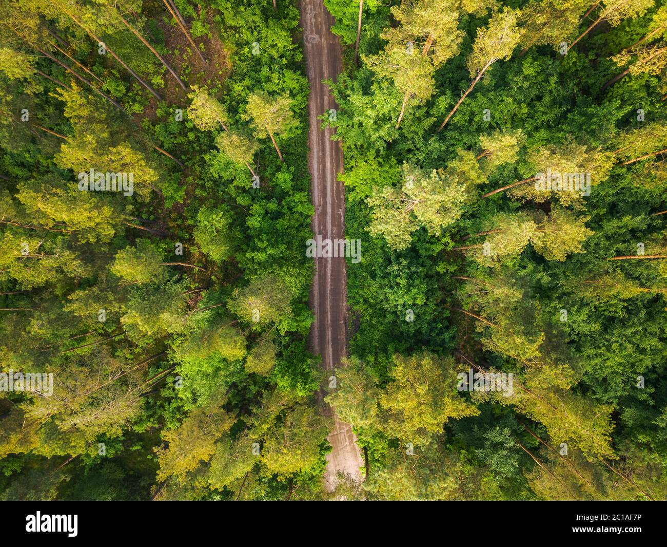 Drone through trees hi-res stock photography and images - Alamy