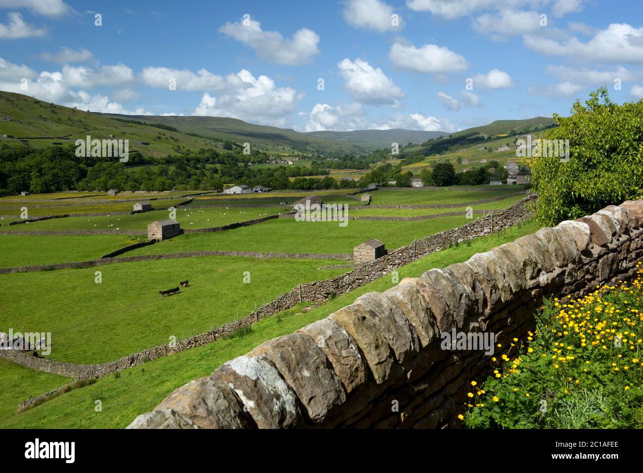 View over the valley of Swaledale, Gunnerside, Yorkshire Dales National Park, North Yorkshire, England, United Kingdom, Europe Stock Photo